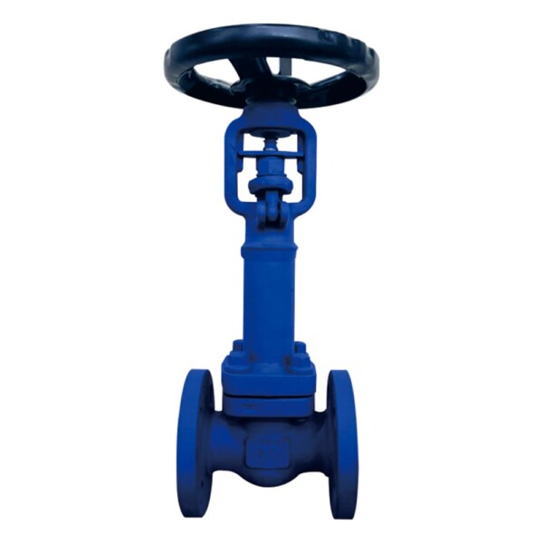 LOW TEMPERATURE BELLOWS GATE VALVE